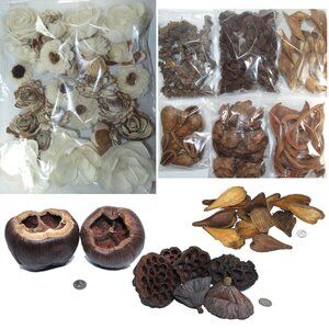 250+Dried Botanicals Sola Wood+Coco Flowers/Lotus Pods/Interior Decor Home Craft